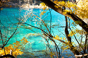 【九寨沟一日游】九寨沟双动1日游