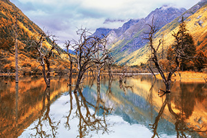 【日游四姑娘】四姑娘山一日游