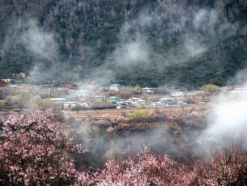 【桃花珠峰】林芝桃花+珠峰+拉萨11天10晚